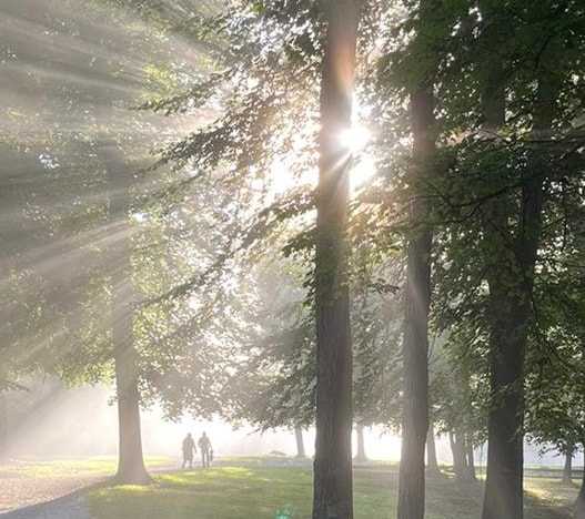 Two people walking together beneath sunlit trees, representing companionship and presence